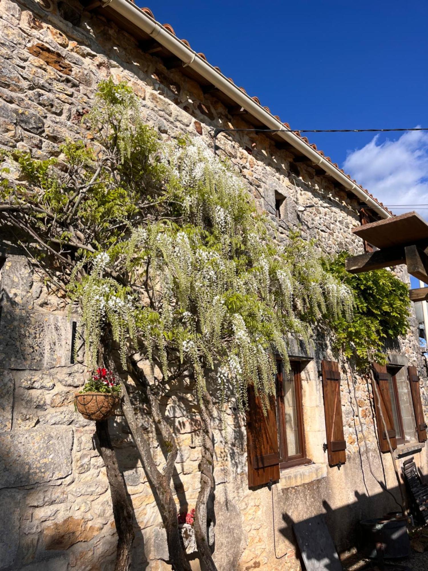 Le Plantier2 Villa Beaulieu-sur-Sonnette Luaran gambar